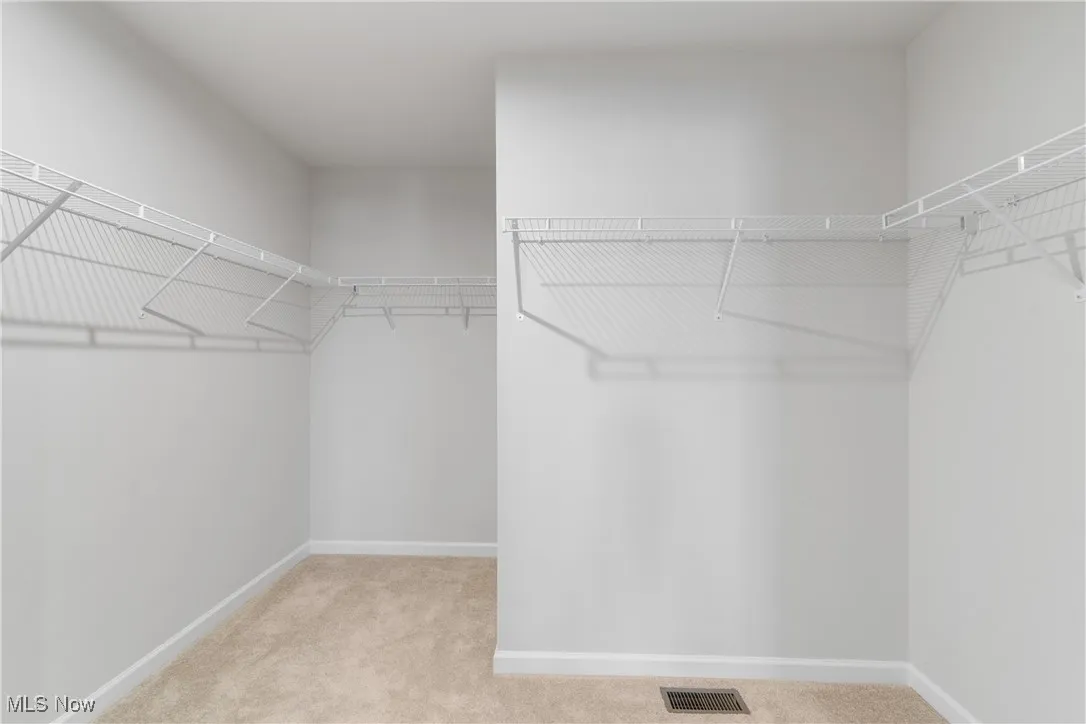 Spacious closet featuring light colored carpet