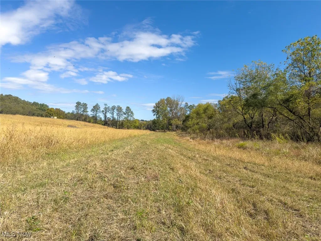 View of nature featuring rural landscape