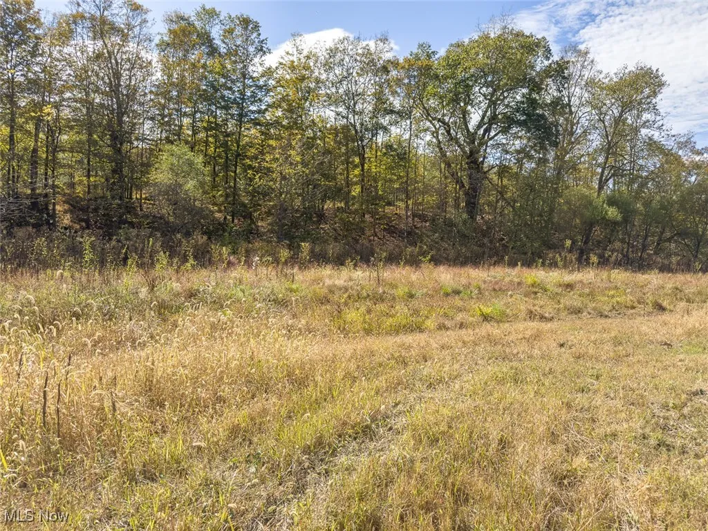 View of undeveloped land