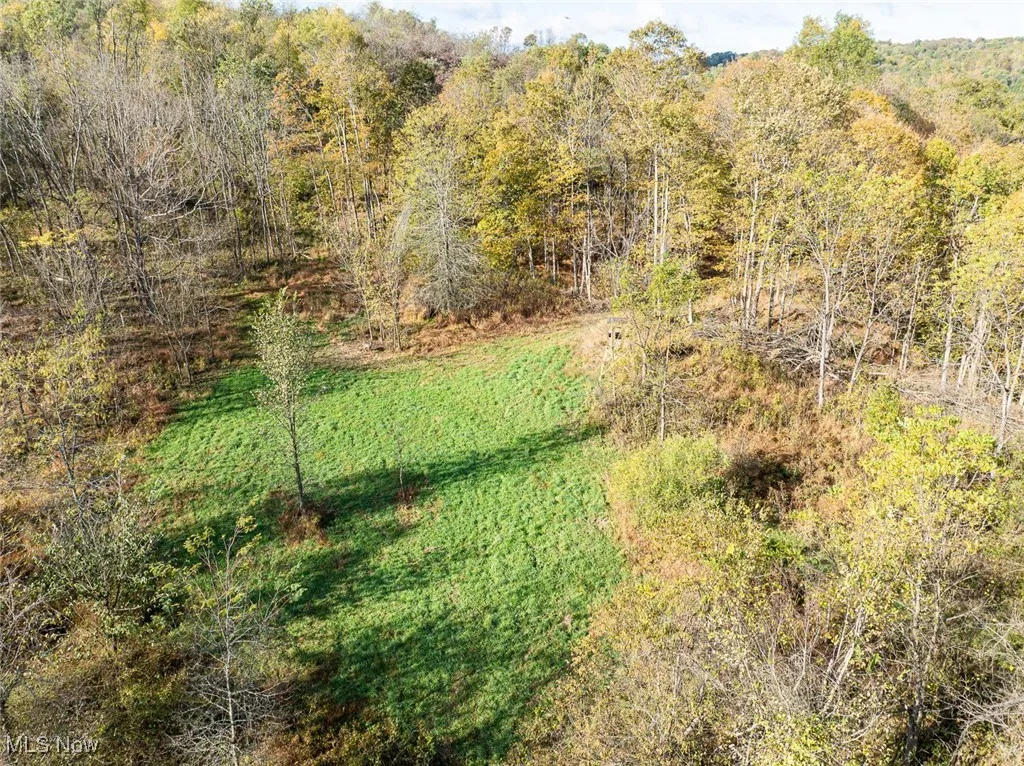 View of woods