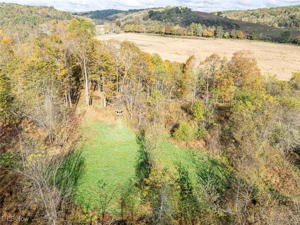 Drone / aerial view of a forest and a mountainous background