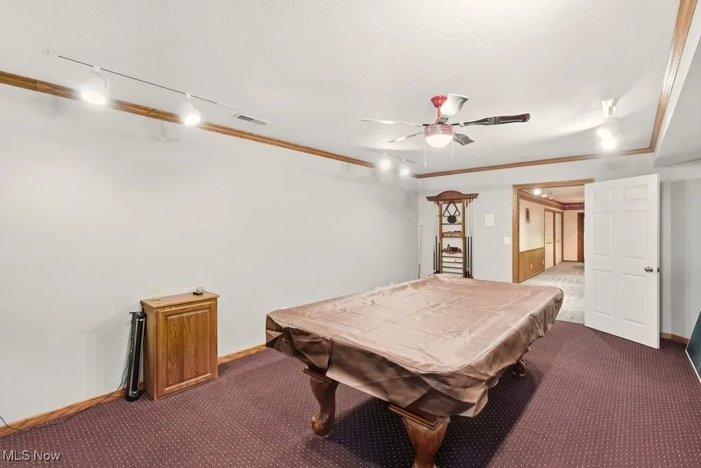21 x 13 Rec Room with Fireplace, Half Bath, and Separate Living Space