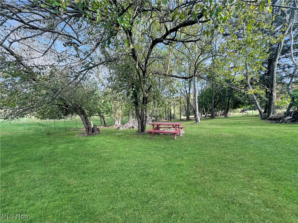 View of grassy yard with view of scattered trees