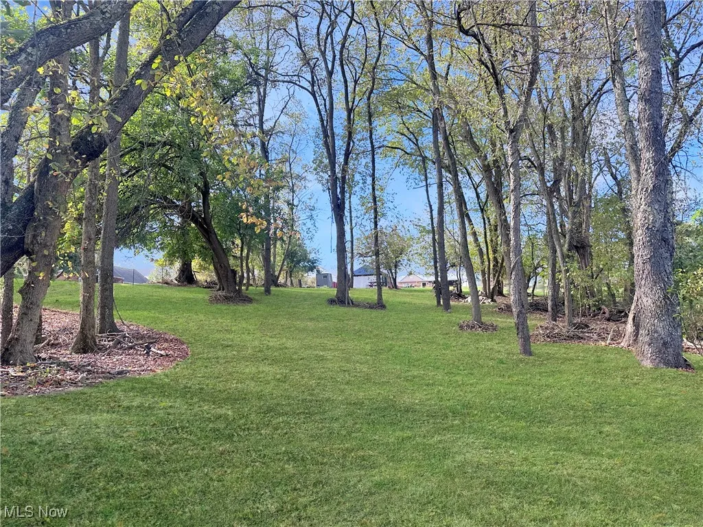 View of green lawn