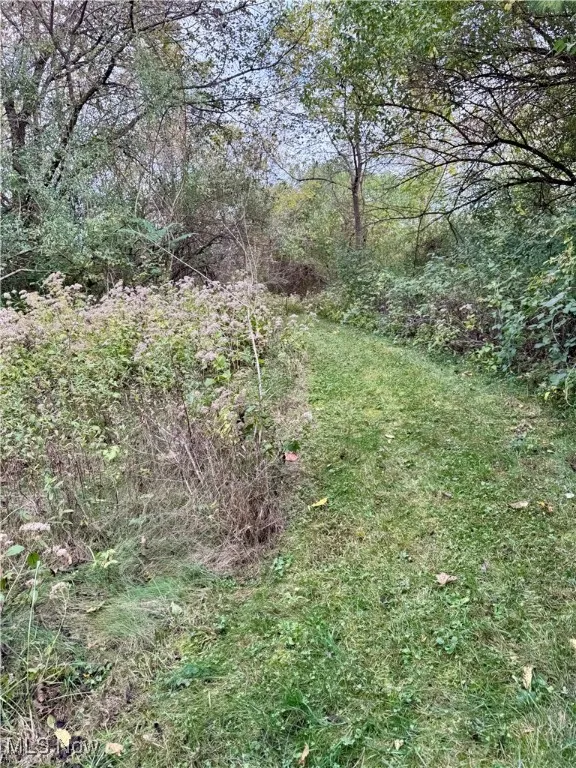 2700 Fred Mummey Road, Mcconnelsville, Ohio 43756,MLS Now Listing ID