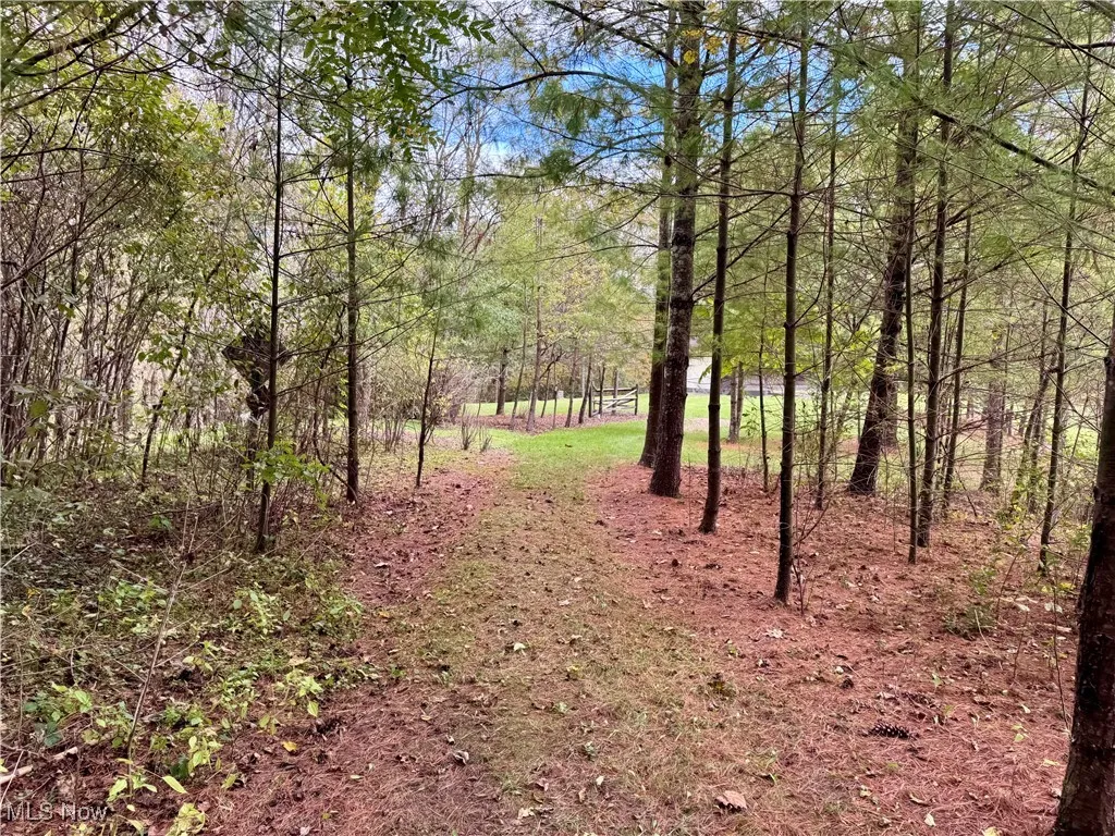 2700 Fred Mummey Road, Mcconnelsville, Ohio 43756,MLS Now Listing ID