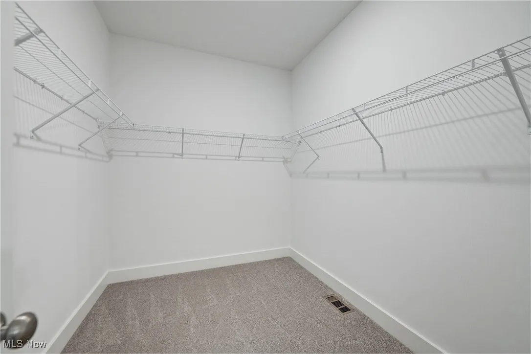Spacious closet with light carpet