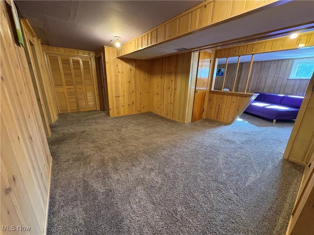 Bonus room featuring carpet floors, a closet, and wooden walls