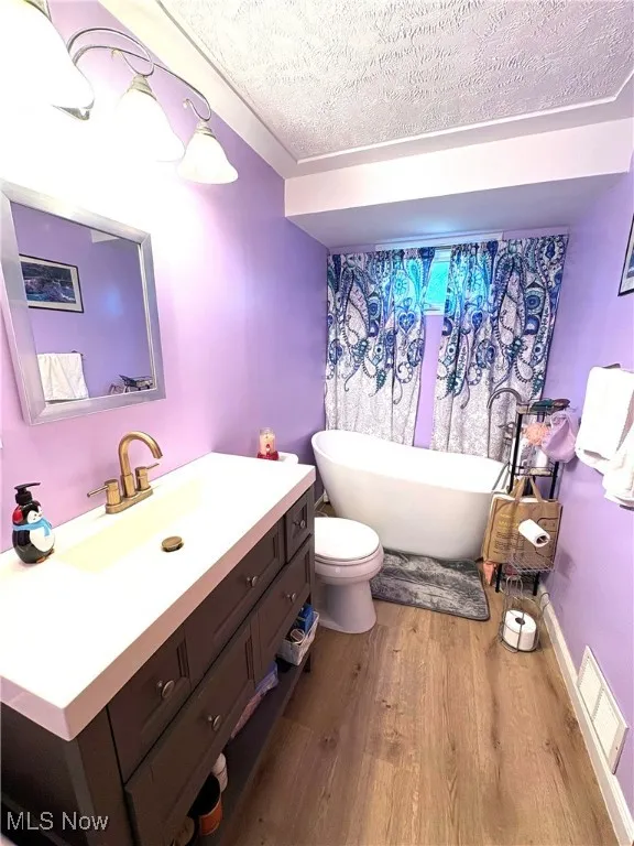 Bathroom featuring a freestanding bath, vanity, and toilet