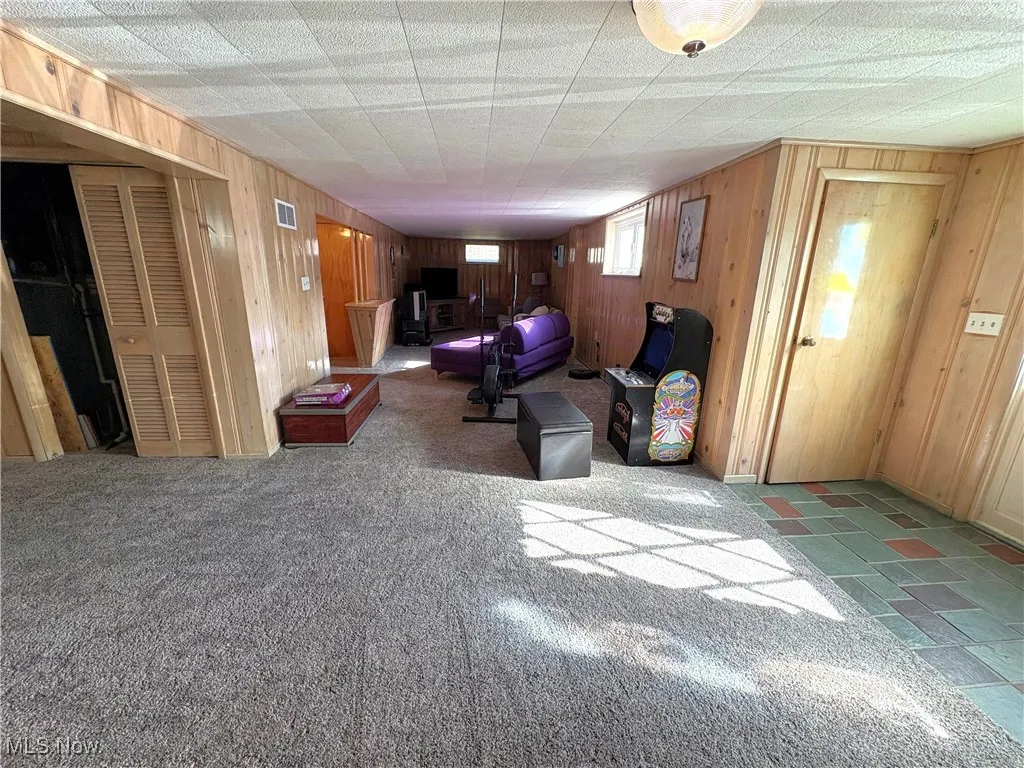 Recreation room with carpet