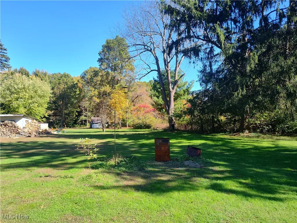 View of green lawn