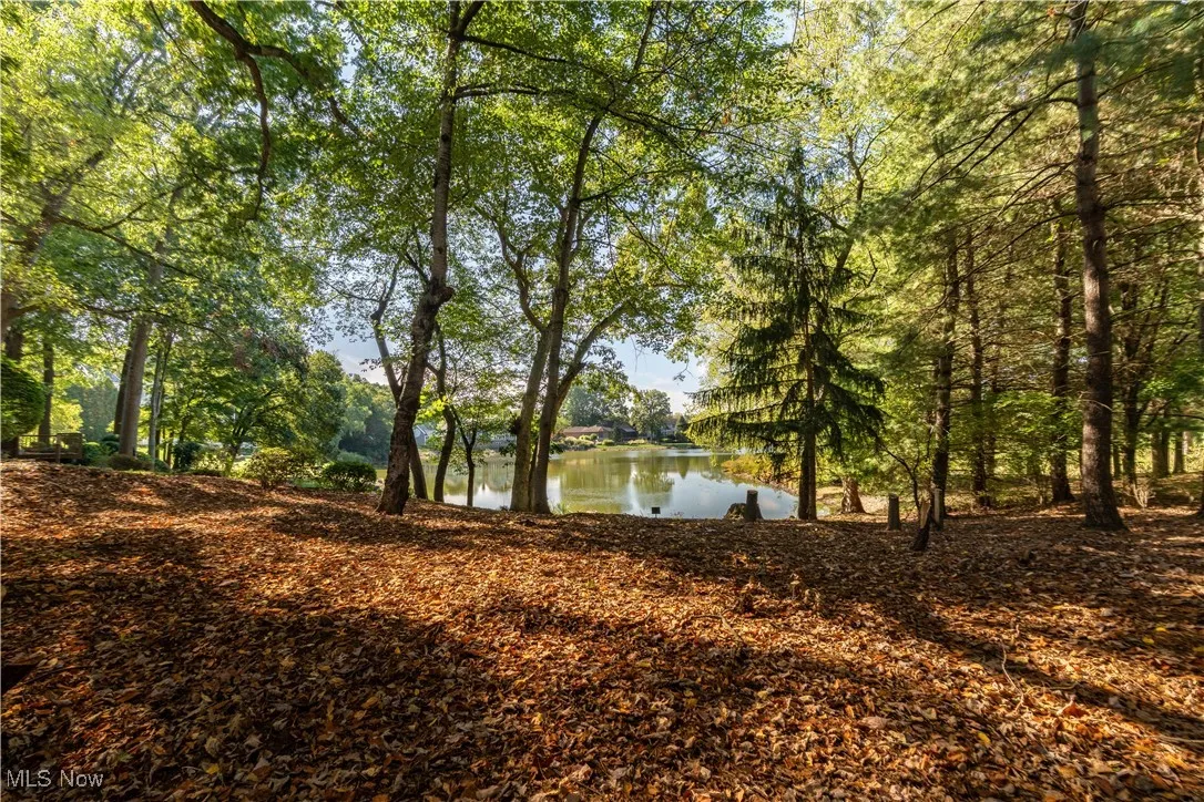 Truly a backyard oasis.