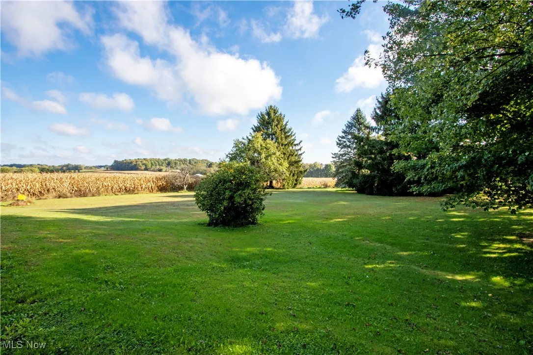 View of green lawn with agricultural plots and a rural view