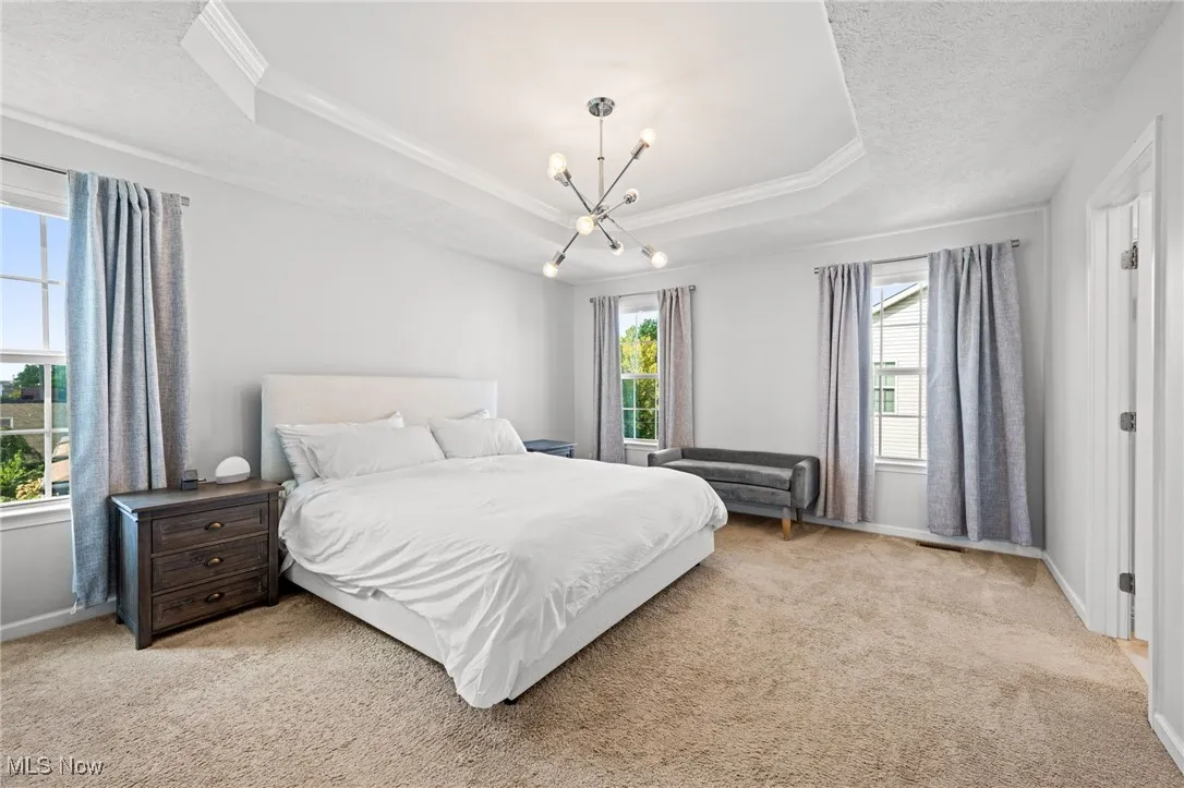 Owner's suite featuring a raised ceiling, light colored carpet, ornamental molding, a chandelier, and a textured ceiling