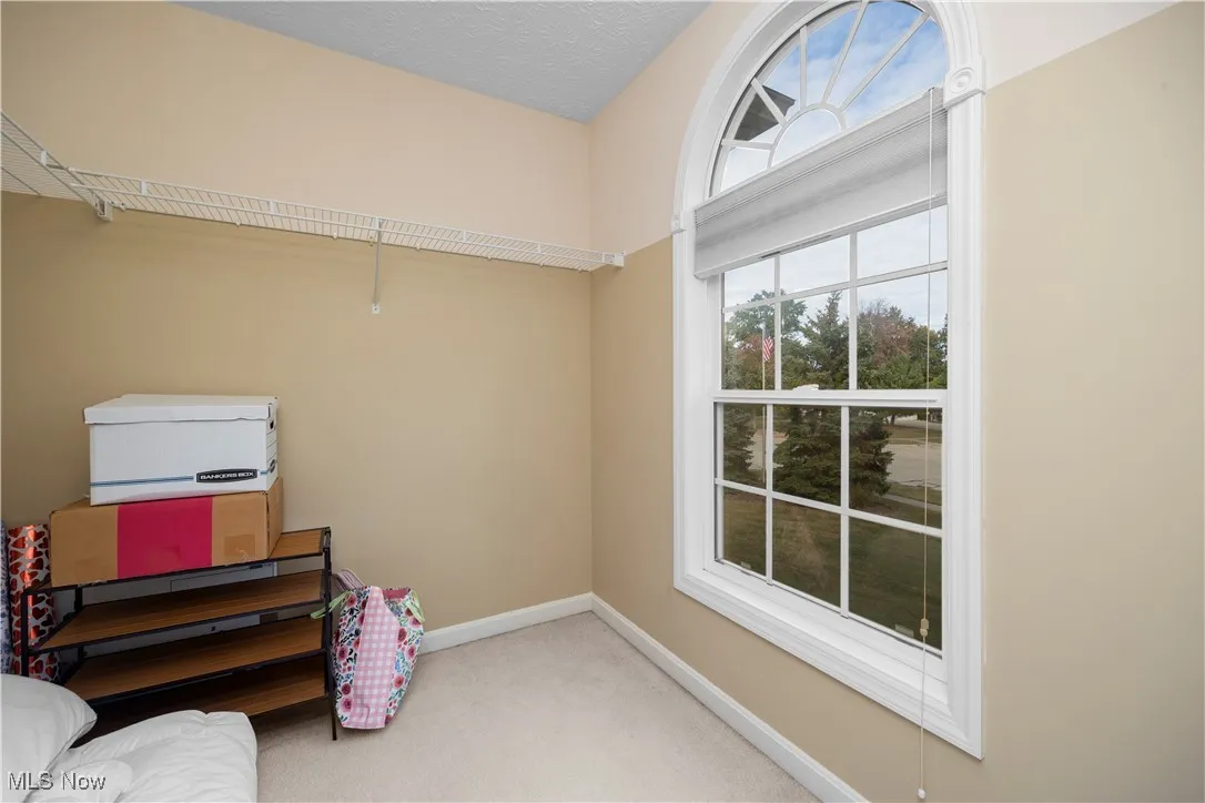 Spacious closet featuring carpet floors