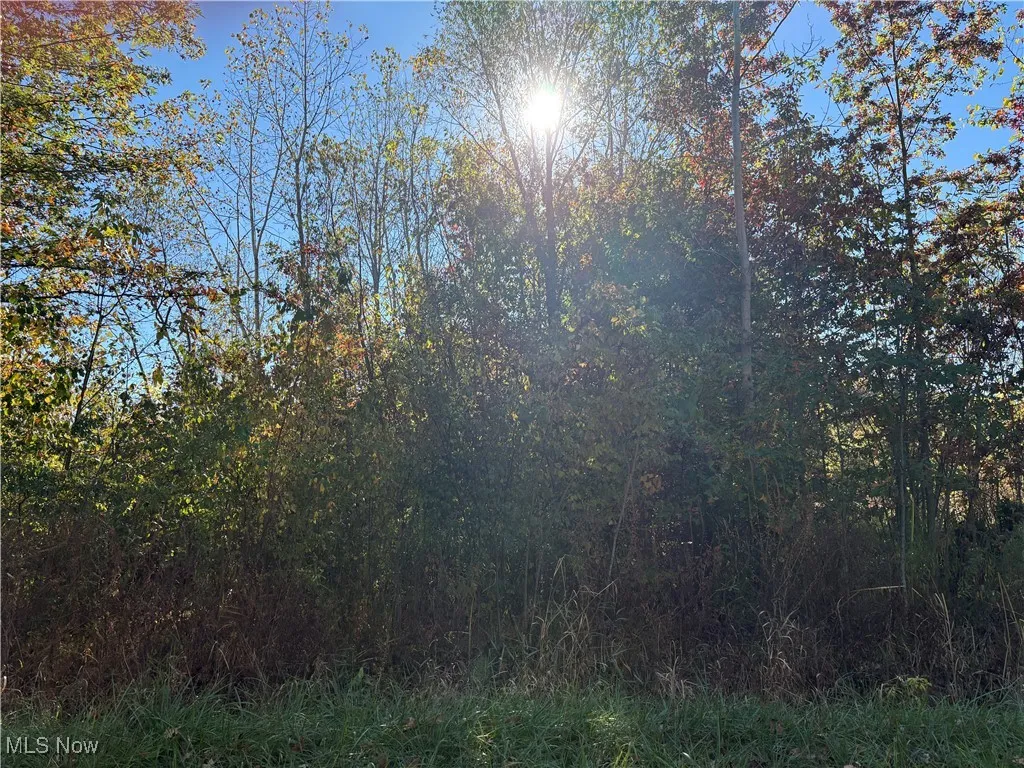 Pearl Avenue, Lorain, Ohio 44055,MLS Now Listing ID