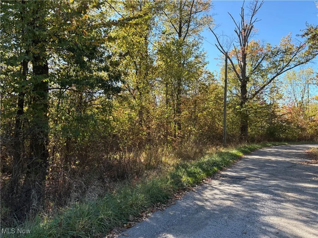 View of road with a view of trees