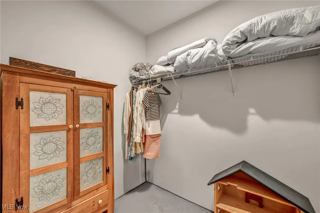 Walk in closet with light colored carpet