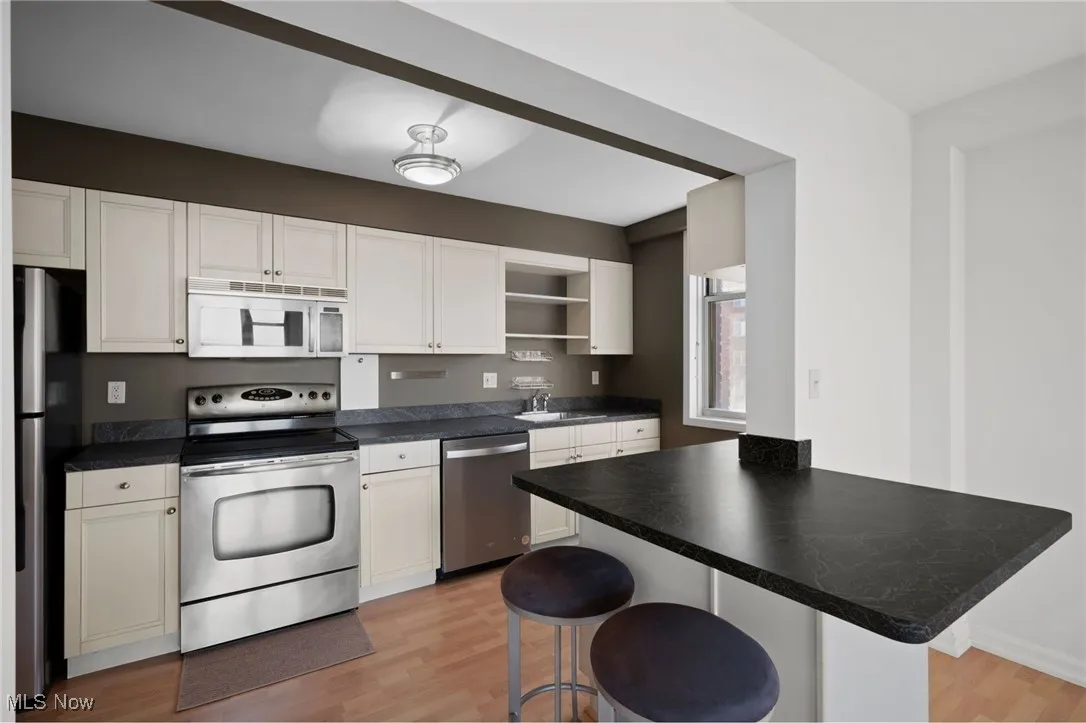 11820 Edgewater Drive # 809, Lakewood, Ohio 44107,MLS Now Listing ID