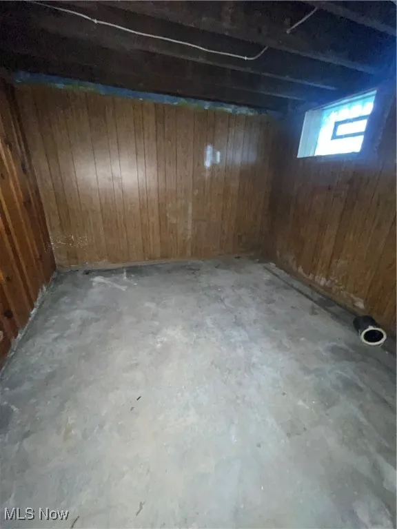 Basement with wood walls