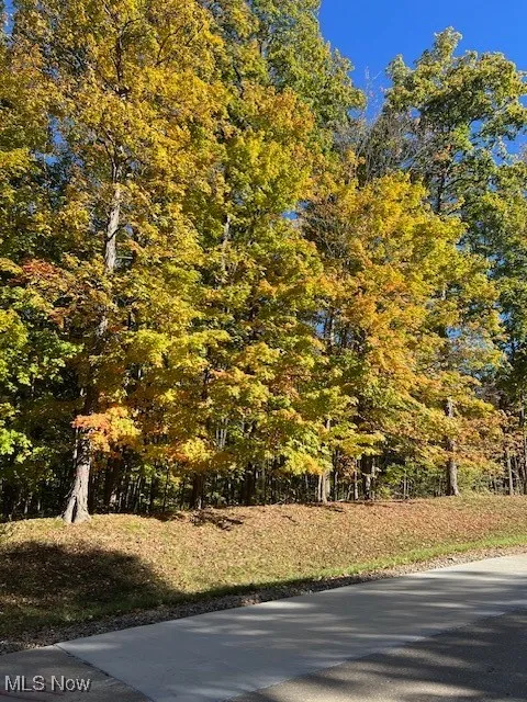 View of community featuring a wooded view