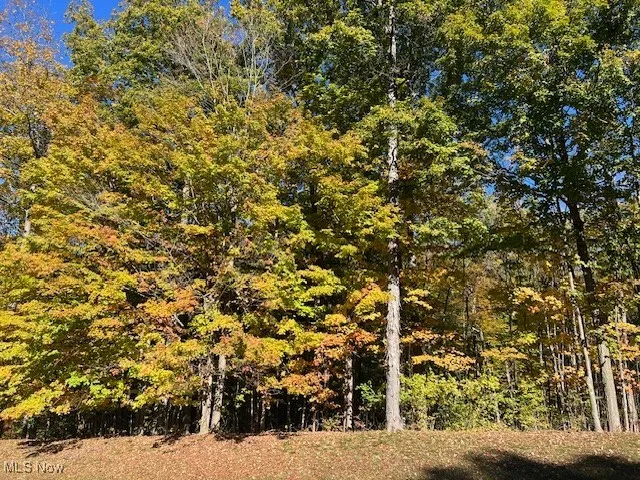 View of tree filled area