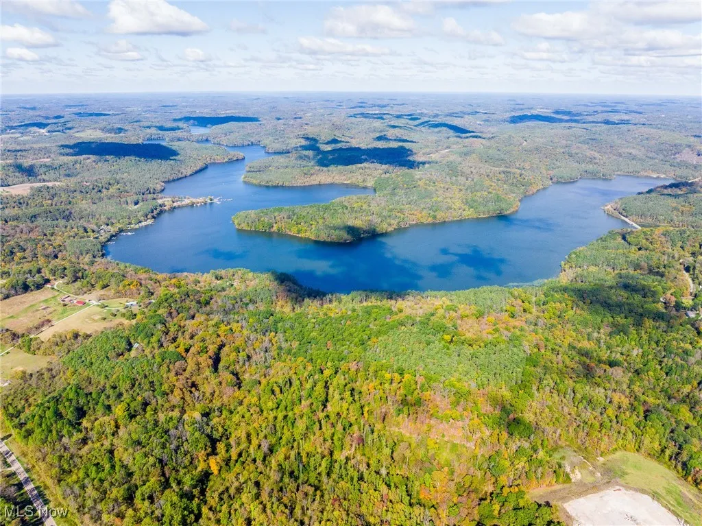 Drone / aerial view of a forest and a nearby body of water
