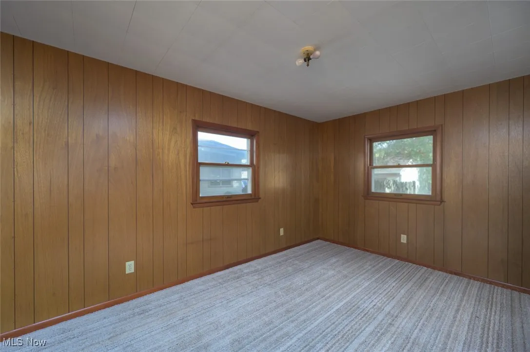 Spare room featuring healthy amount of natural light, carpet floors, and wood walls
