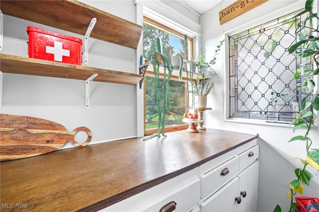 Pantry featuring countertops and leaded glass window