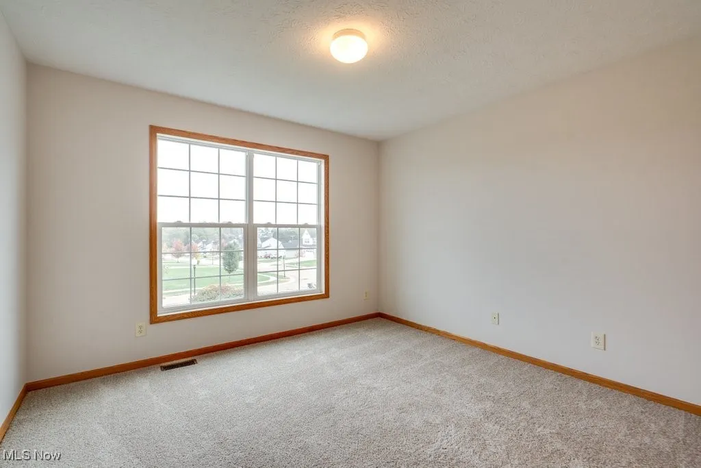 Unfurnished room with light colored carpet and a textured ceiling