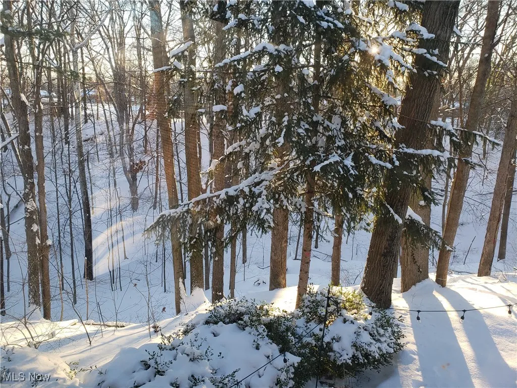 Wooded lot winter