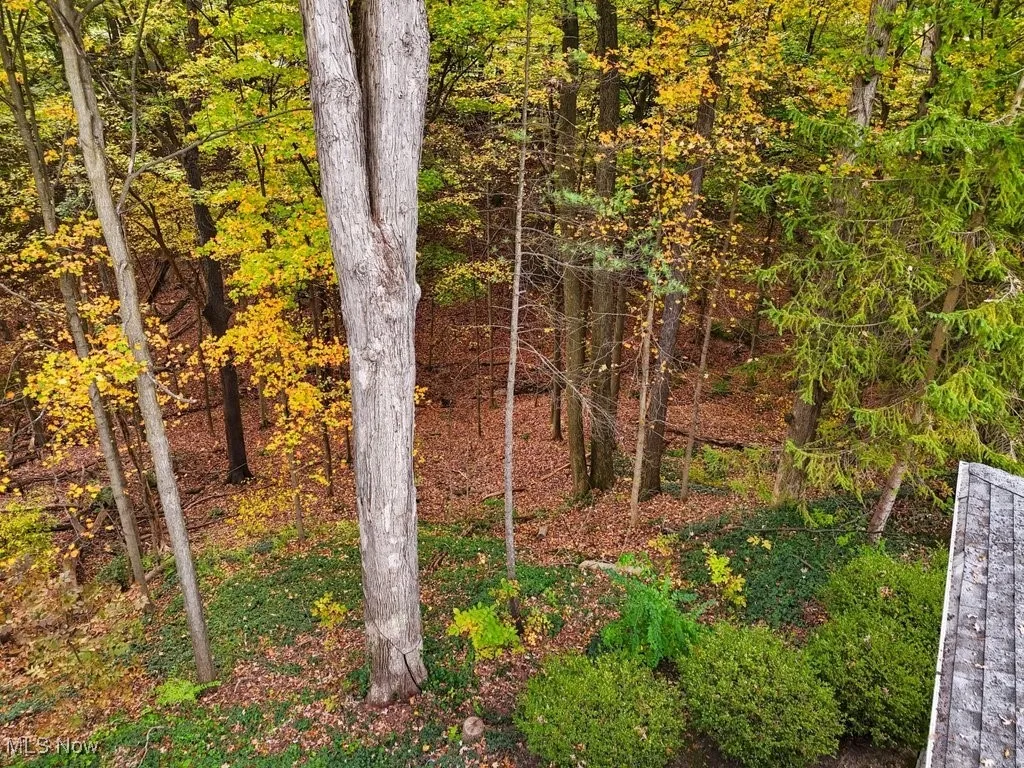 Gorgeous wooded lot