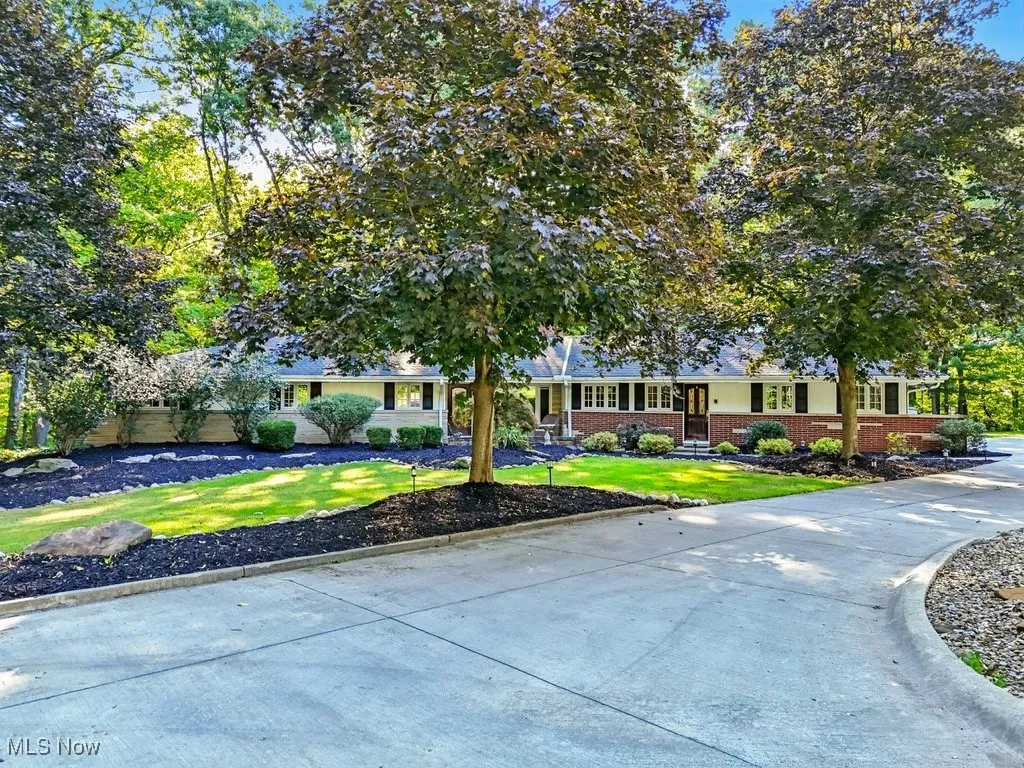 Summer front view