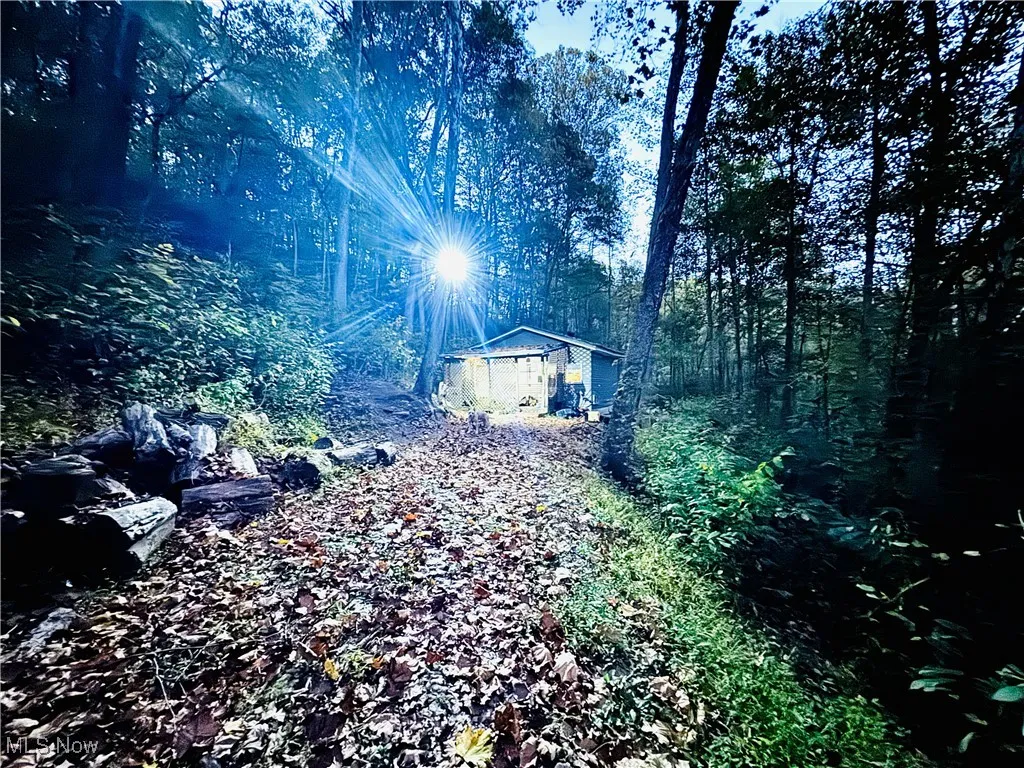 Cabin at night