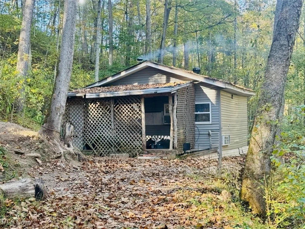 Cabin in the woods