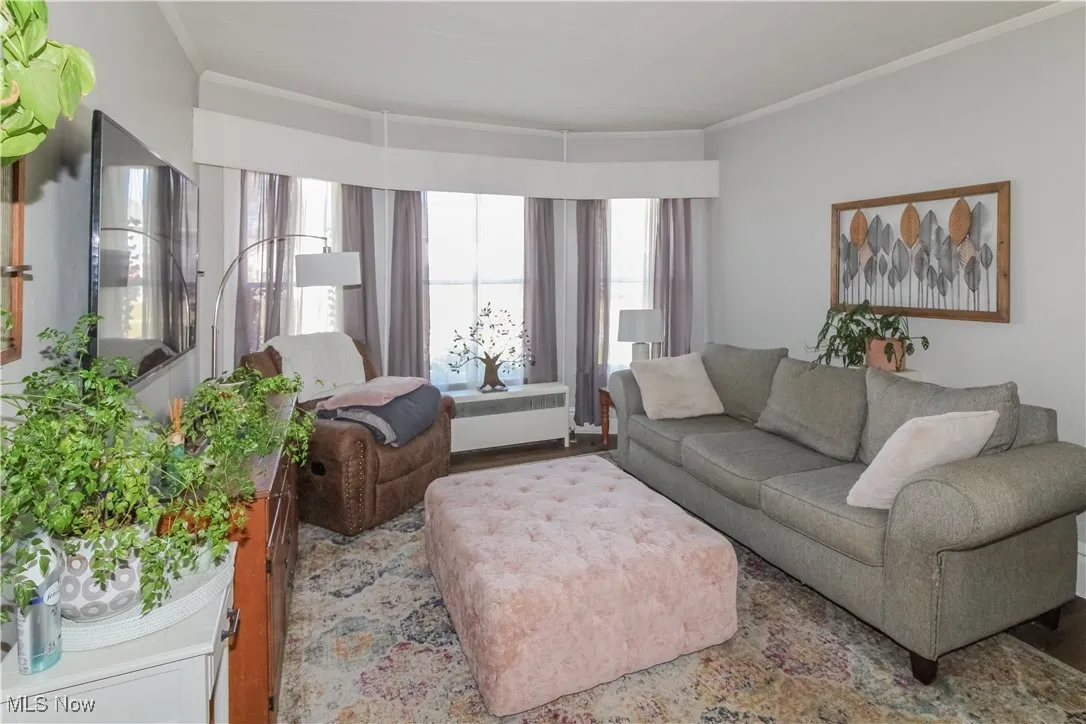 Living area featuring radiator, crown molding, and wood finished floors