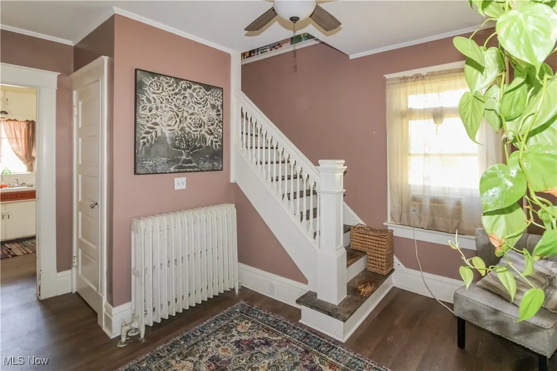 Staircase featuring crown molding, radiator heating unit, wood finished floors, and ceiling fan