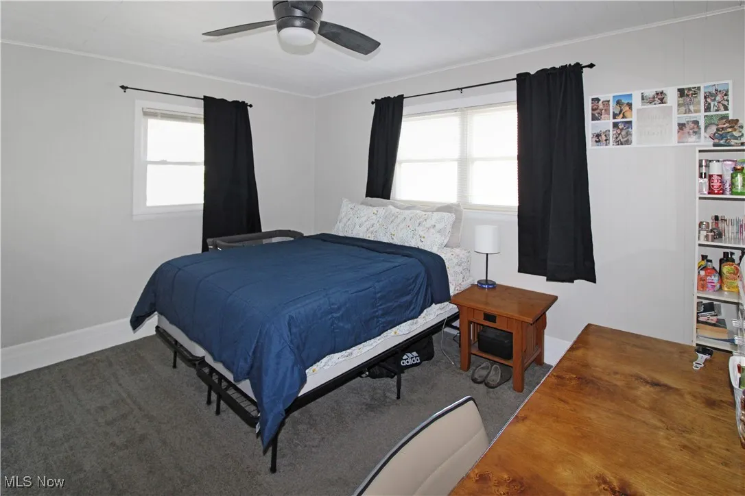Bedroom featuring multiple windows, carpet, ornamental molding, and ceiling fan