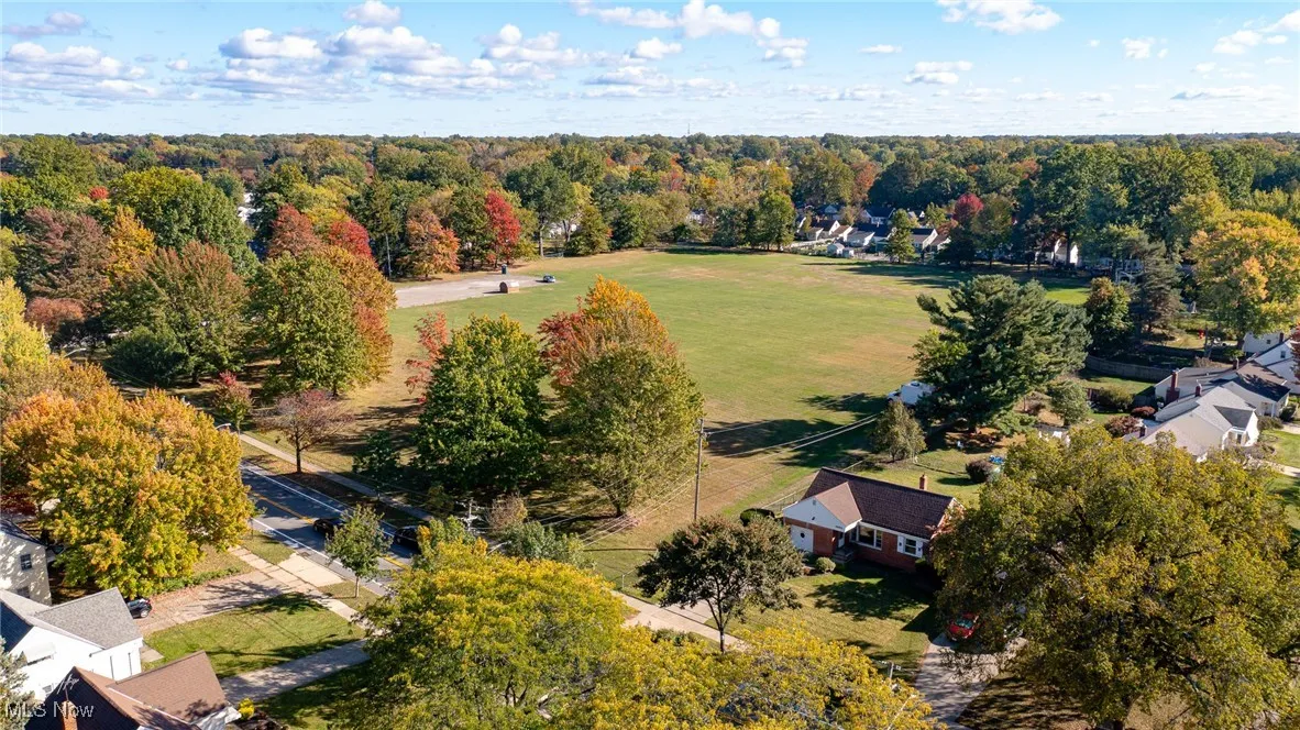 Aerial view of a forest