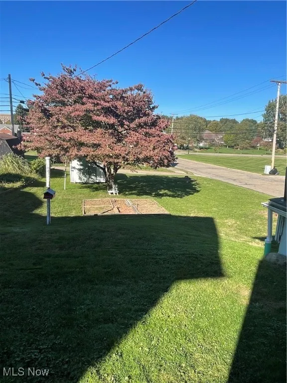 Rear View of yard