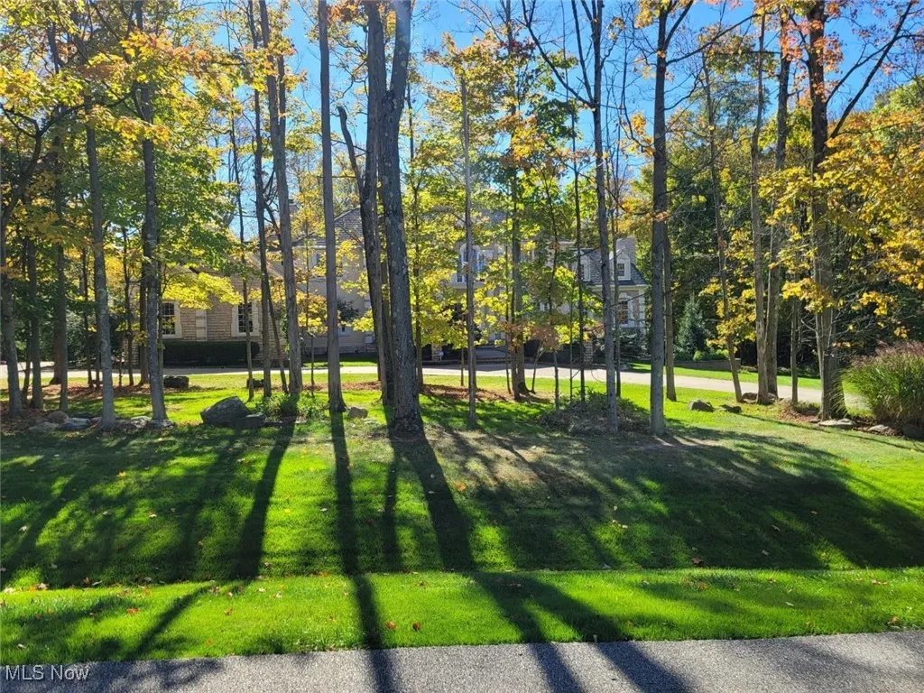 4466 Forest Brooke Court, Richfield, Ohio 44286,MLS Now Listing ID