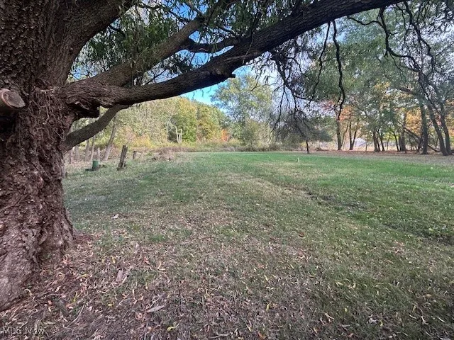 View of grassy yard