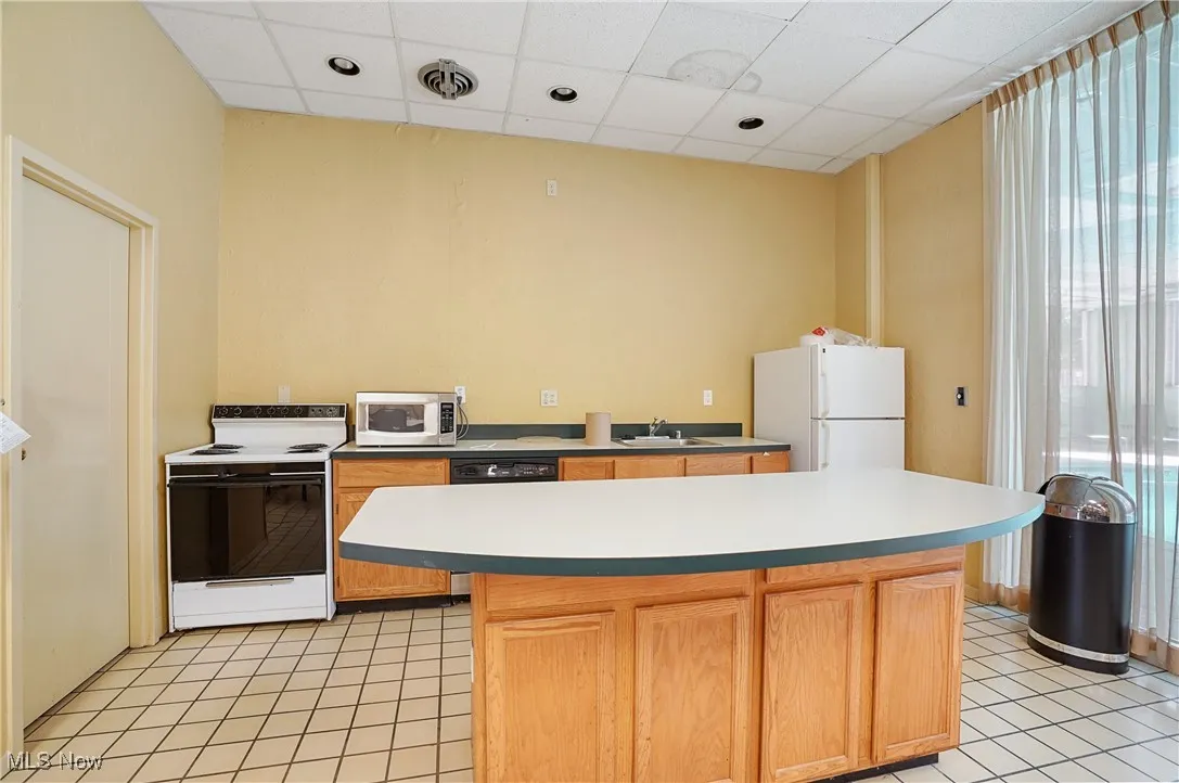 Kitchen in party room