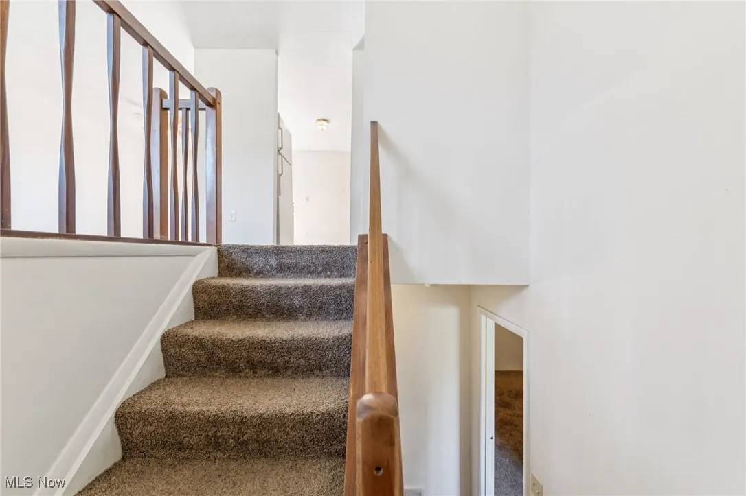 Staircase with carpet floors