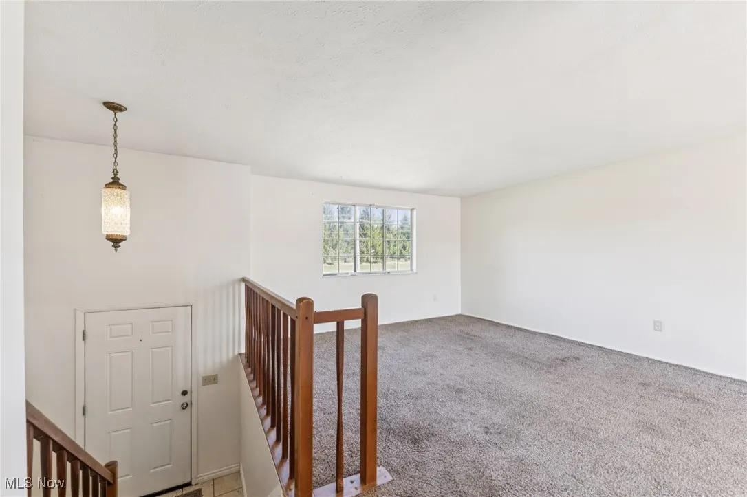 Unfurnished room featuring carpet floors