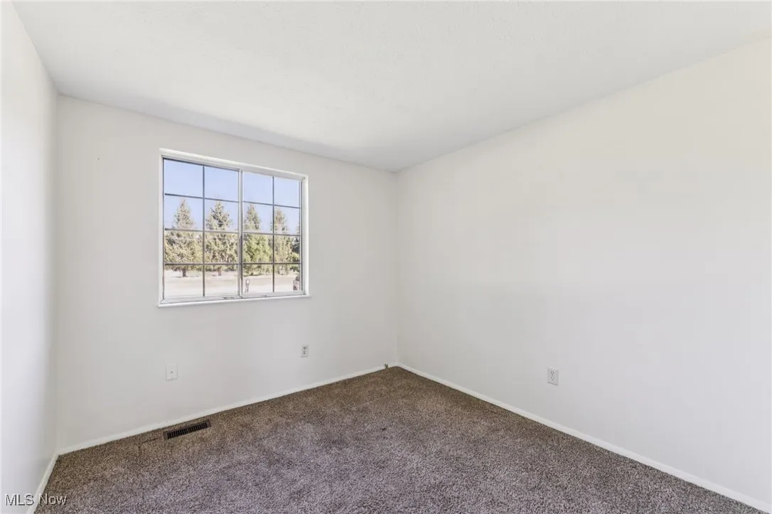 Unfurnished room with carpet and baseboards