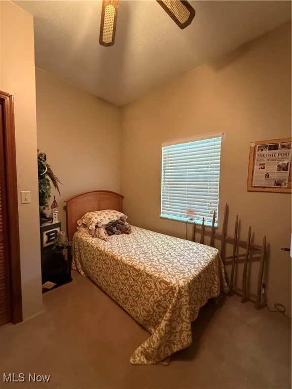 136 Webster Avenue, Friendly, West Virginia 26146,MLS Now Listing ID