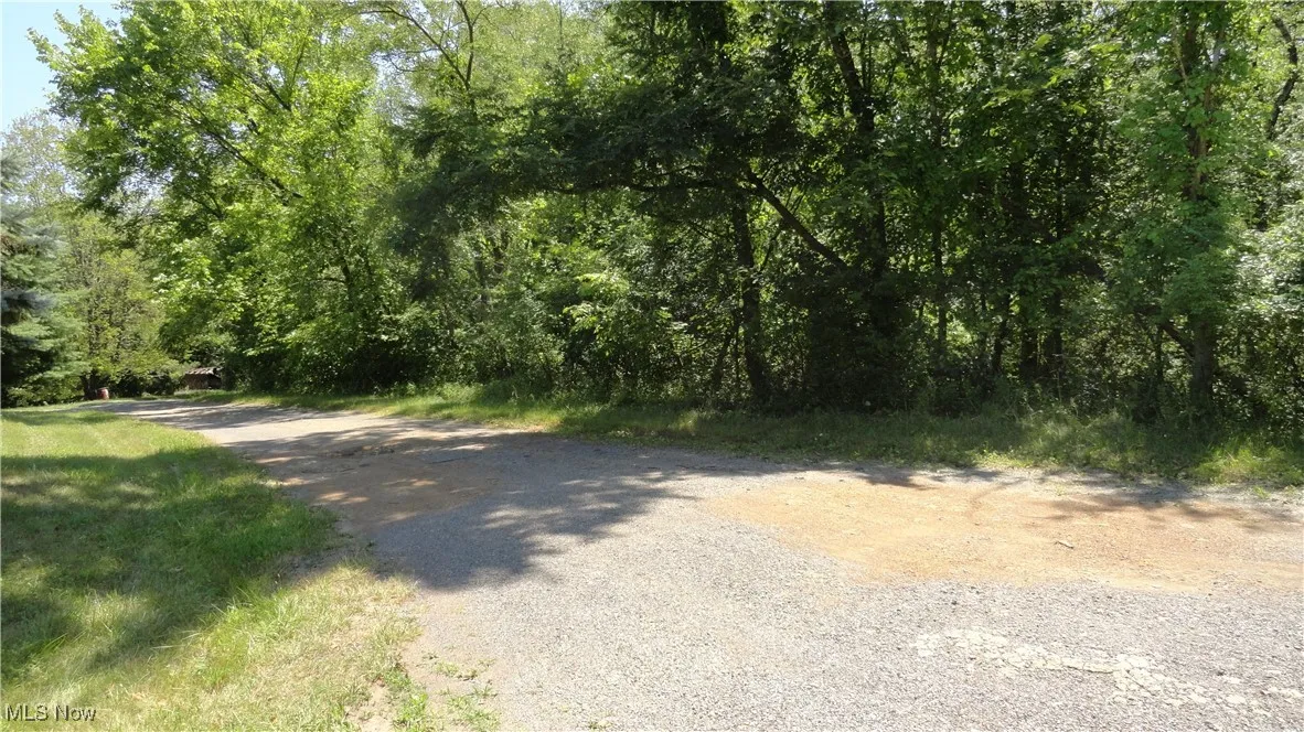 Private road north side of lots