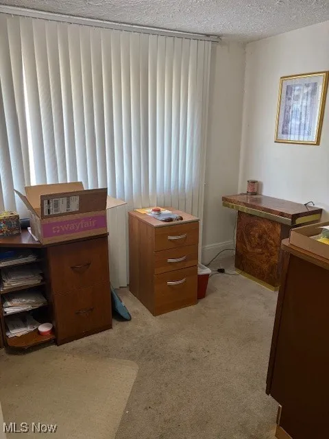 Home office with light colored carpet and a textured ceiling