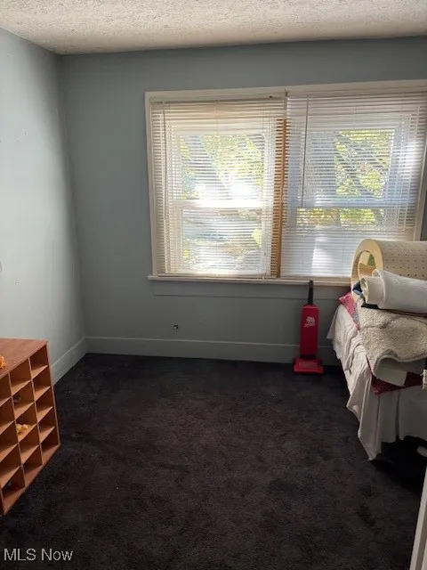 Bedroom featuring multiple windows, dark carpet, and a textured ceiling
